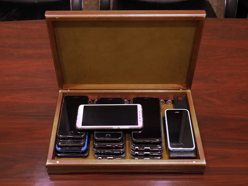 Ultrazvukový box - Spysonic safe-box (světlé dřevo)