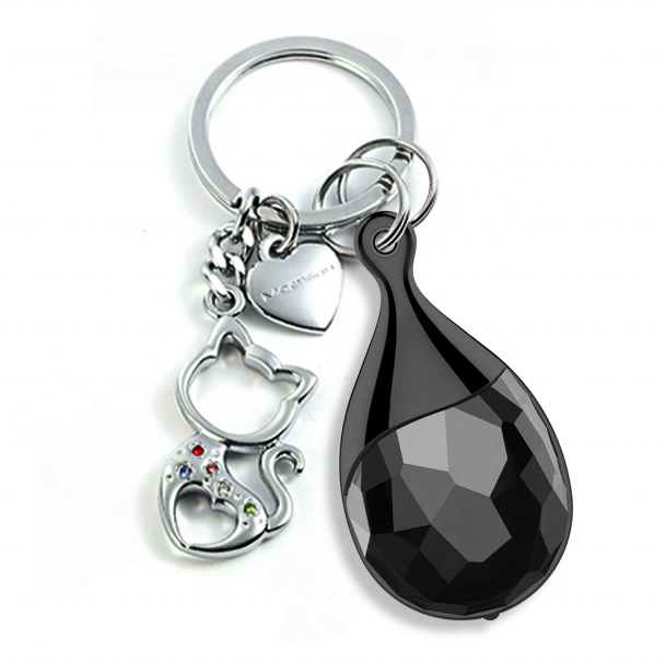 Diktafon kamuflovaný v ozdobném přívěsku - WEM11